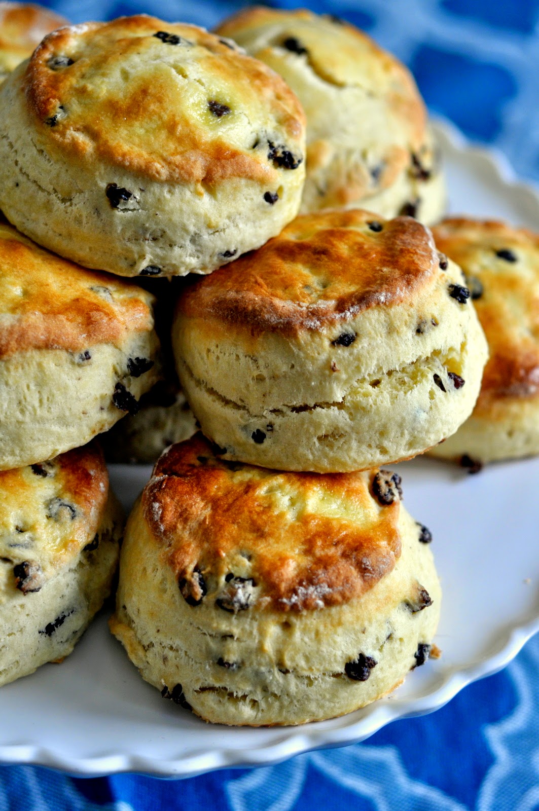 British-Style Currant Scones | Get the recipe on Taste As You Go!