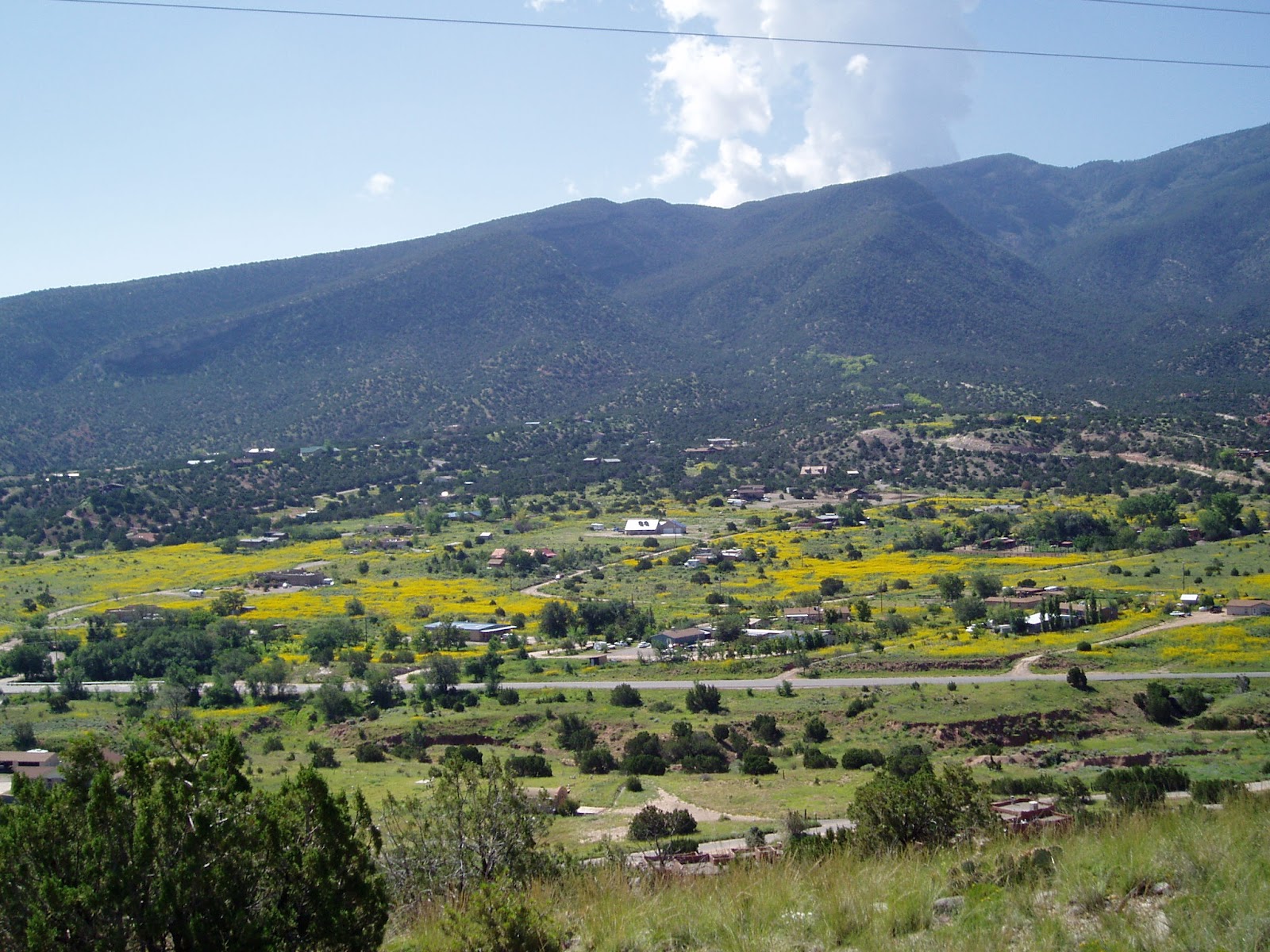 Life is Good in Placitas, NM