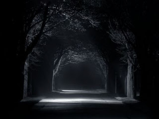 Dark trees wallpapers, wallpaper, desktop, backgrounds, images, photos, latest, 2012,2013, free, download, awesome, amazing, hot, cool, natural, photography, photographs, black