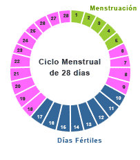 puedo quedar embarazada en mi primer dia de menstruacion