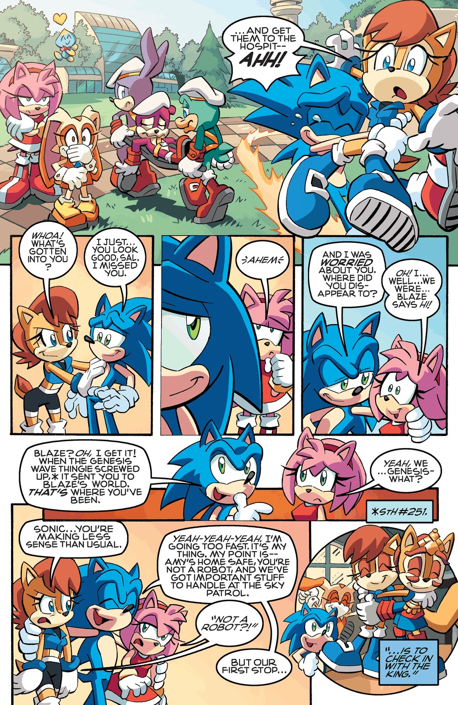 Sonic The Hedgehog (1993) issue 256 - Page 13