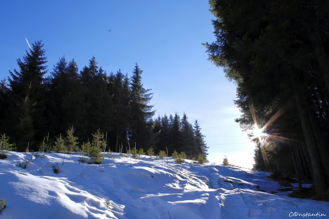 Harghita Băi - pe pantele înzăpezite - blog FOTO-IDEEA