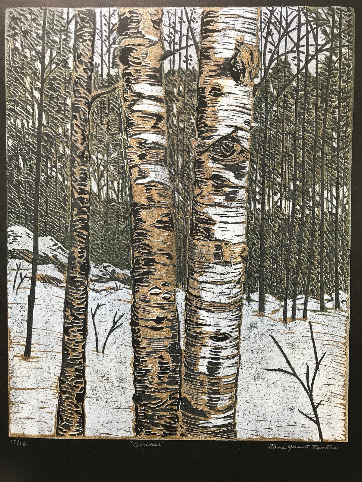 just pencil on paper: Birch Tree Print