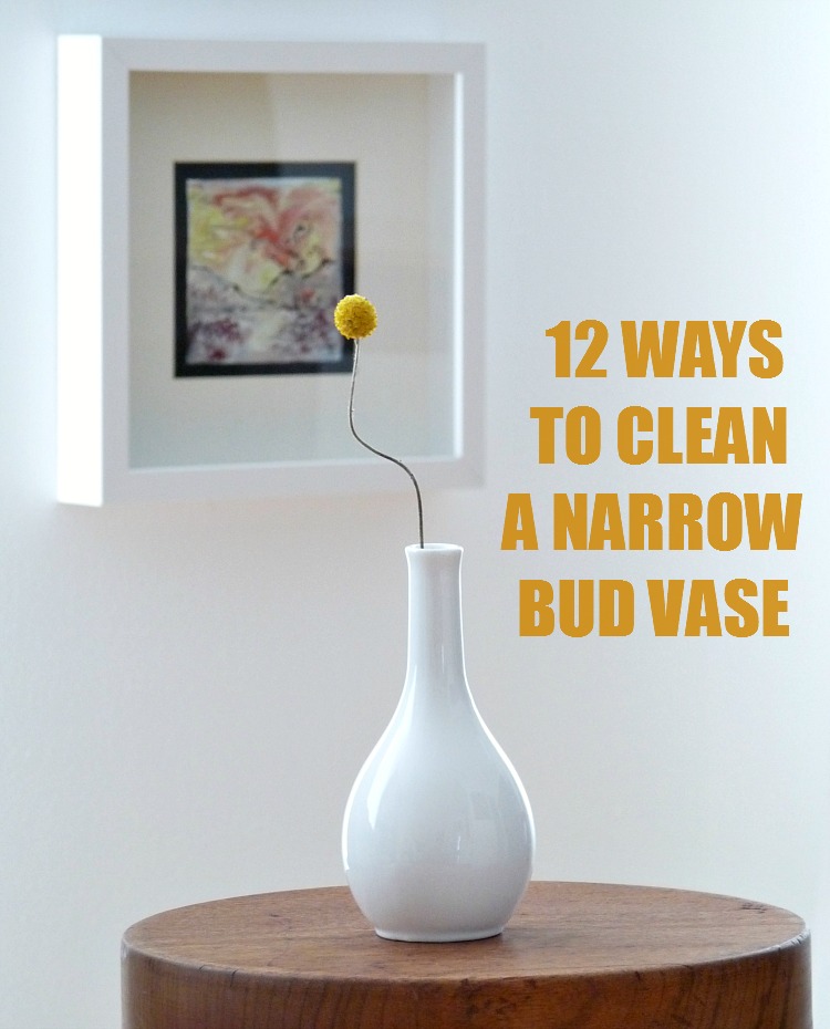 How To Clean Glass Vases With Narrow Necks? Cleanestor