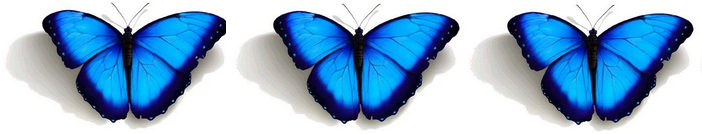 Projeto Cuidação: Cuidados Paliativos - Filosofia e princípios