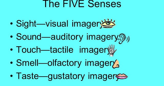 eight types of imagery