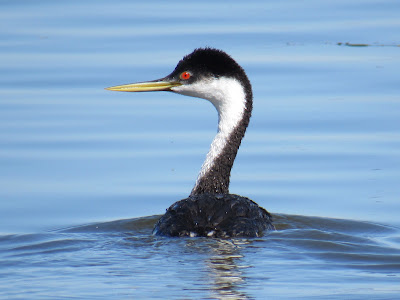 Tule Lake National Wildlife Refuge California