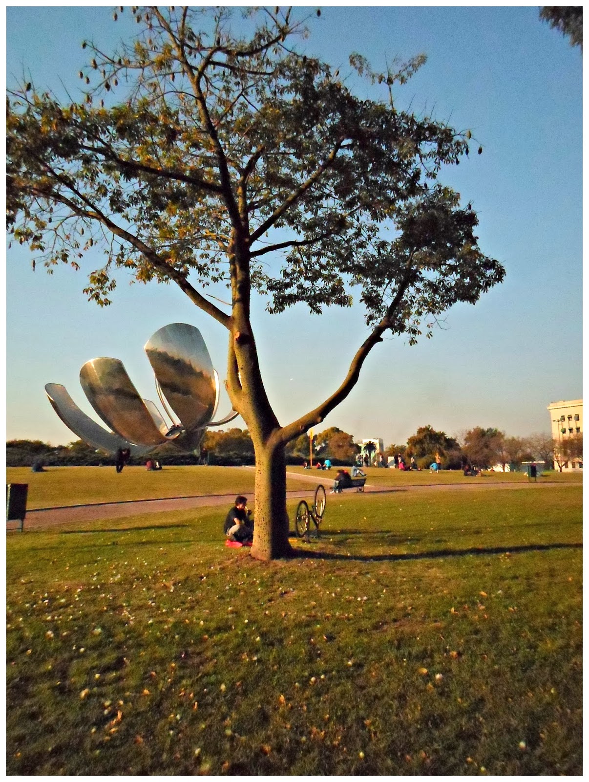 Arte+: Floris Genérica: La flor de Buenos Aires.