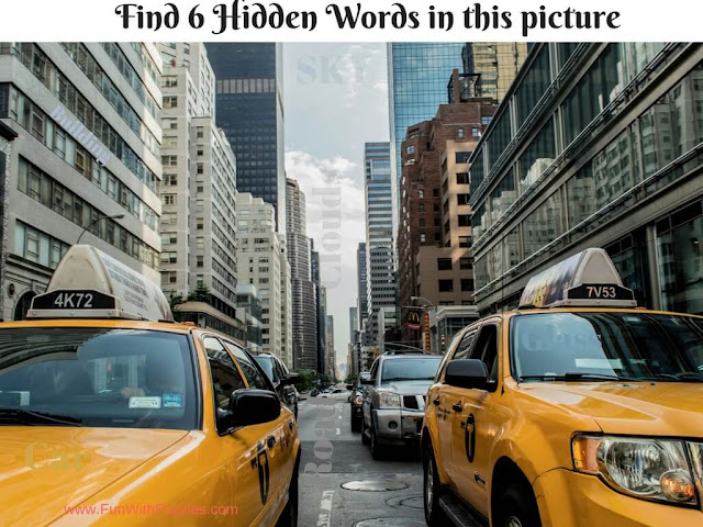 Uncover the Hidden Words: Word Hunt Picture Puzzle-2