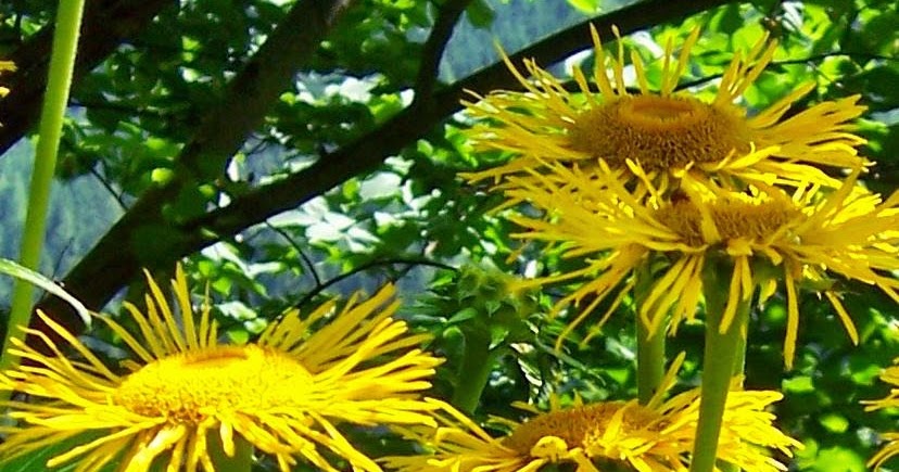 High Spirits Ich Bin Stolz Auf Dich