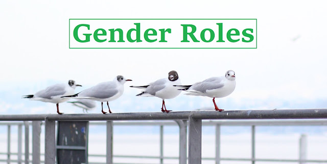 Gender Roles in Life