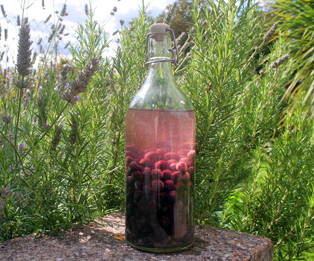 How To Make Sloe Gin - Last year I was given a small bottle of Sloe Gin by a neighbour, not being much of drinker I had never tried it before and it was really quite delicious if a little on the strong side! So being a lover of all things home made I knew it was definitely something I would like to try myself, well, once I had located a blackthorn hoard that is! 
