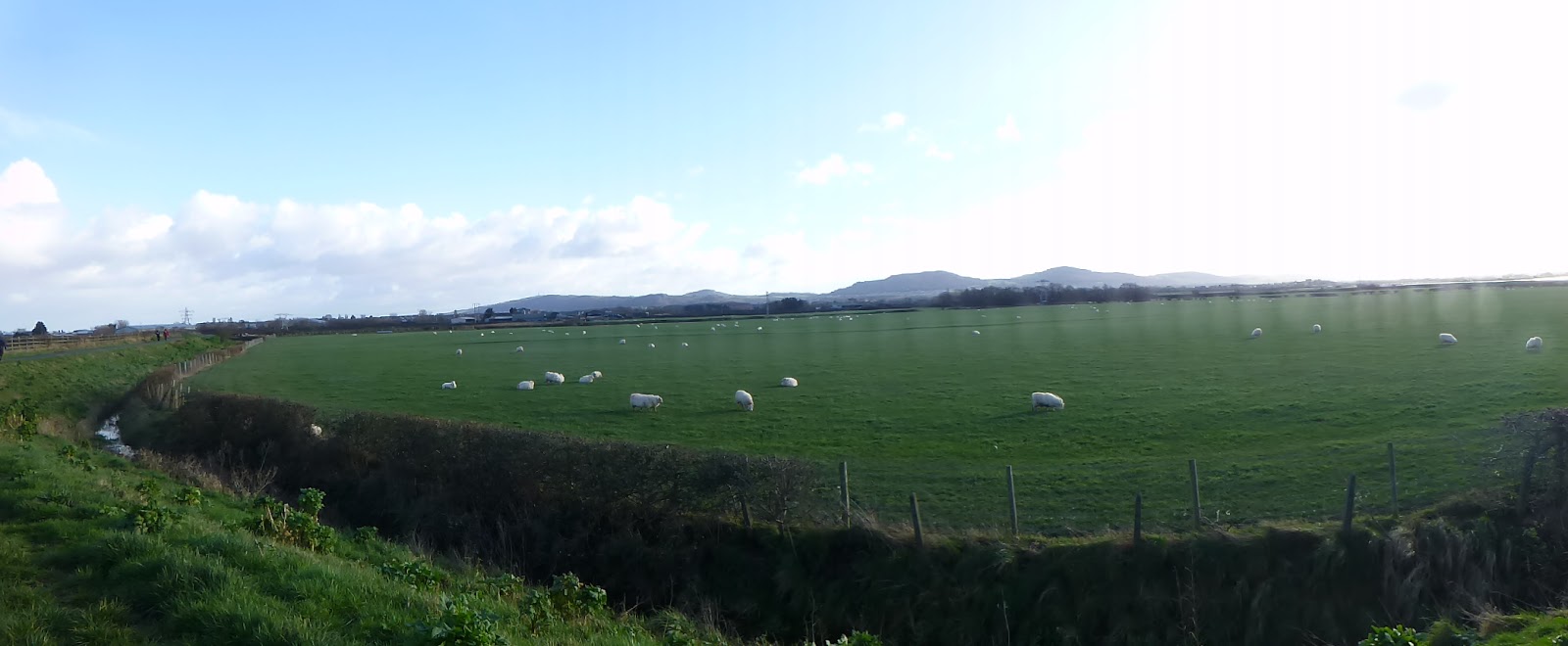 Harris Hikers Rhuddlan to Rhyl Along Both Sides of the Afon Clwyd 31st January 2018