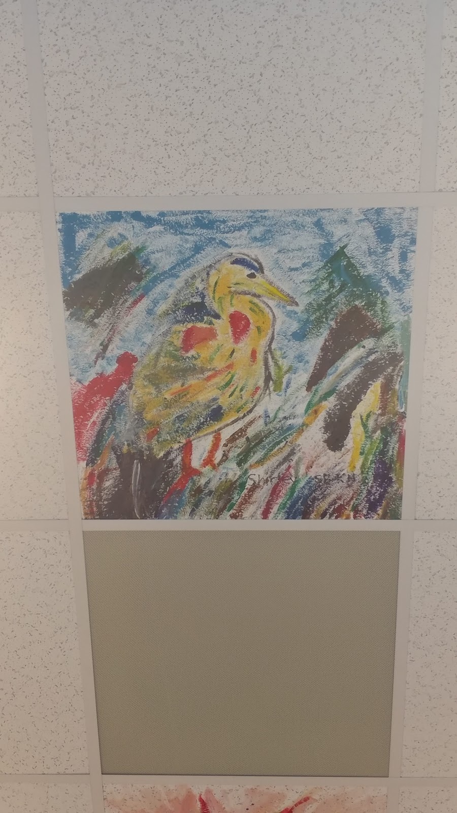 messymimi's meanderings Fault (Cajun Joke), Ceiling Tiles (Sunday