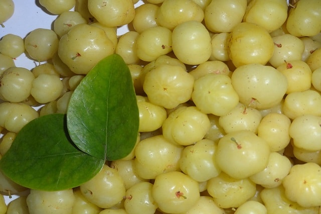 Amla Amla