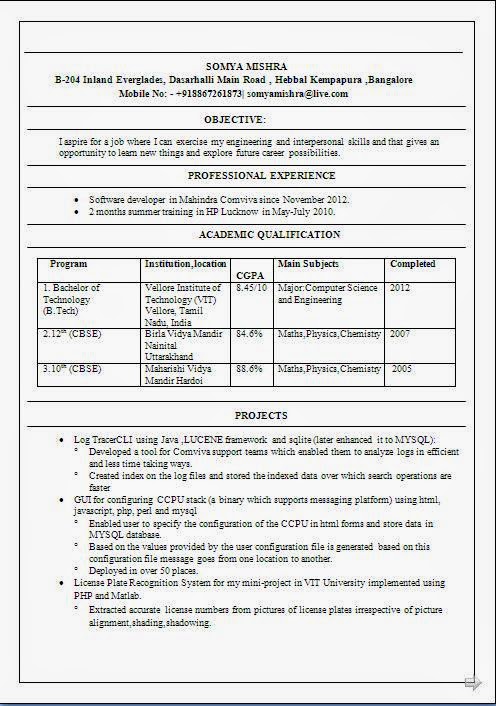 Curriculum vitae examples pdf picture