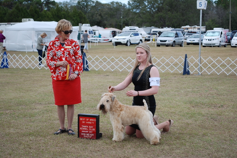 Travels of Susan and Judy Dog Show in Brooksville Florida