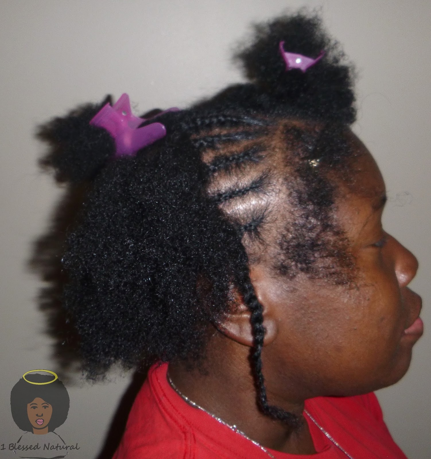 Protective Style Challenge: Another Rubber Band Twist and ...