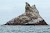 The Egg War of Farallon Islands