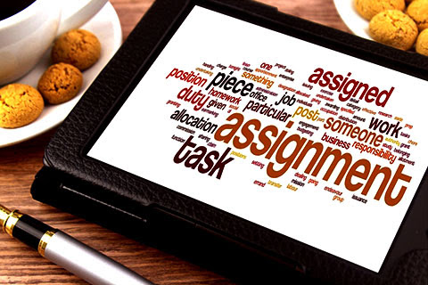 Understanding Writing Assignments