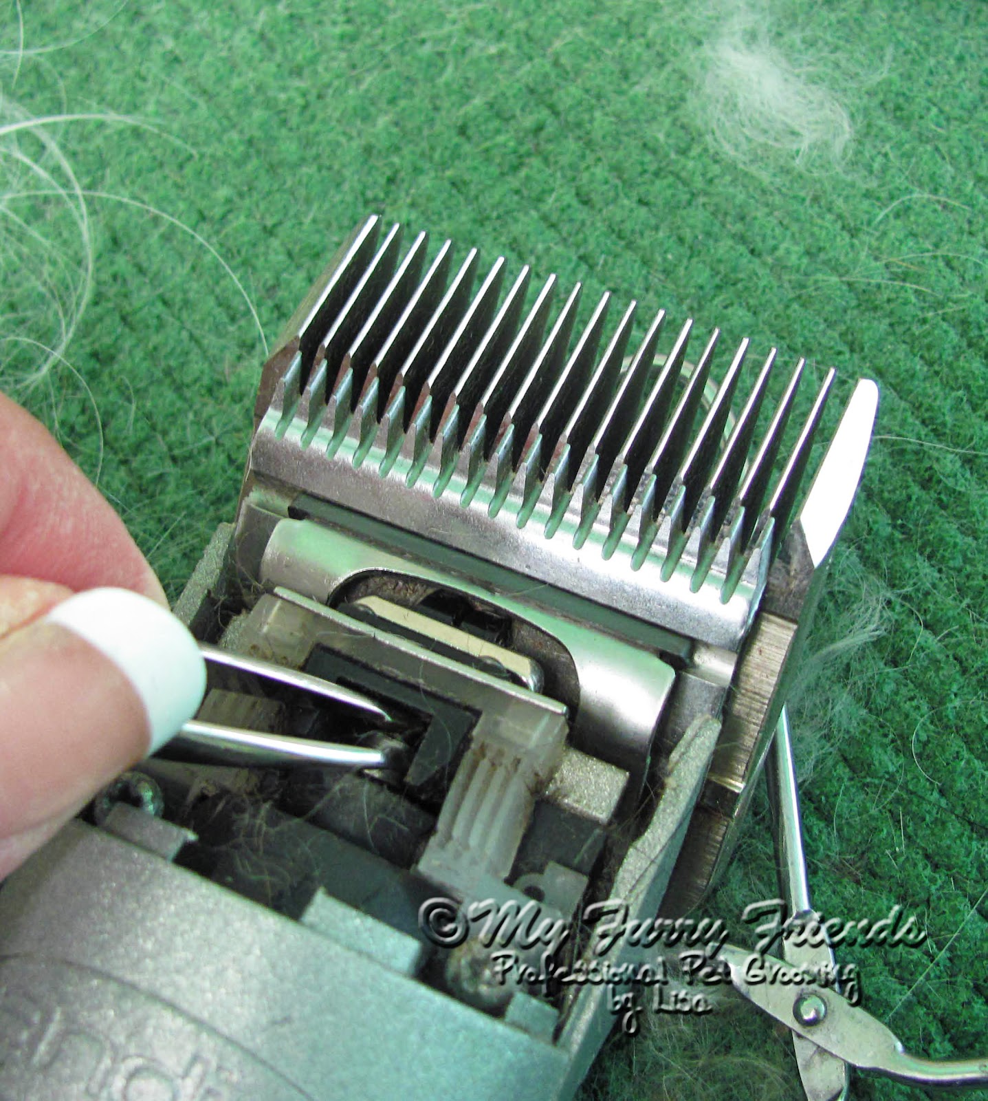 Pet Grooming: The Good, The Bad, & The Furry: Clipper Problems Continued