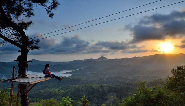 10 RUMAH POHON TERINDAH DI INDONESIA INI MEMBUAT KAMU NYAMAN Rumah Pohon Kalibiru