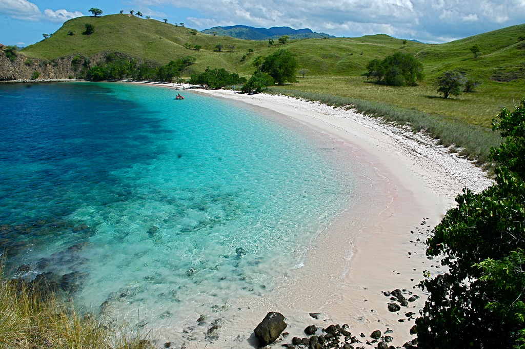 Scenic Tourism Beauty Pink Beach in Lombok, Indonesia