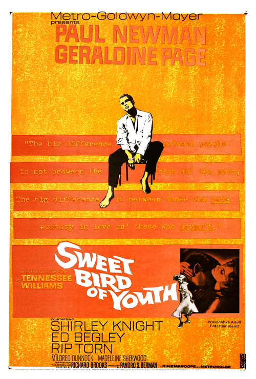 La dolce ala della giovinezza 1962 Streaming Sub ITA