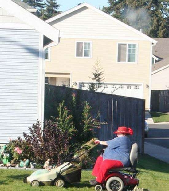 The Book Of Jokes Most Lazy Bums