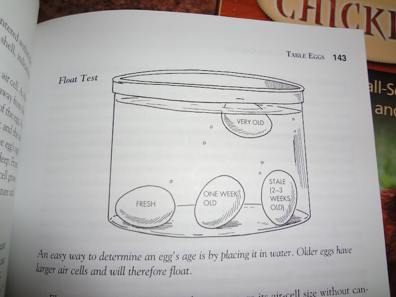 Surrey Hills Farm The Float Test for Freshness of Eggs