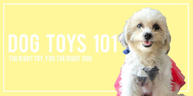 Dog Toys 101: The Right Toy, For the Right Dog