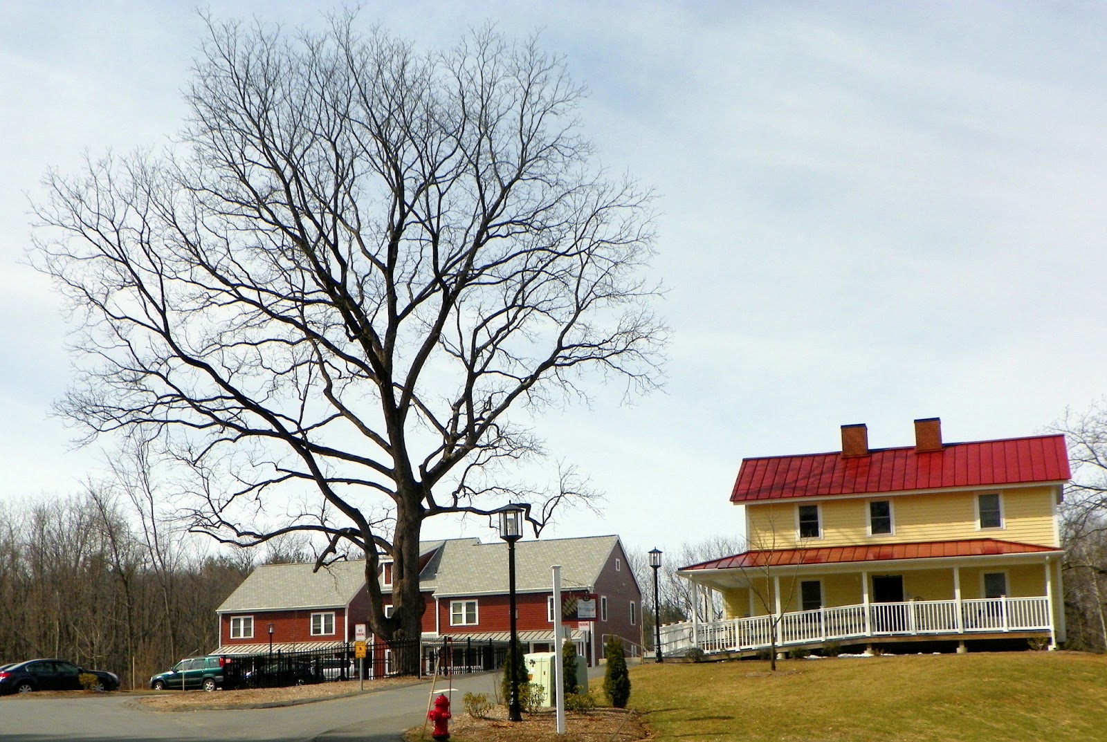 Only in The Republic of Amherst Orchard Valley Grows Again