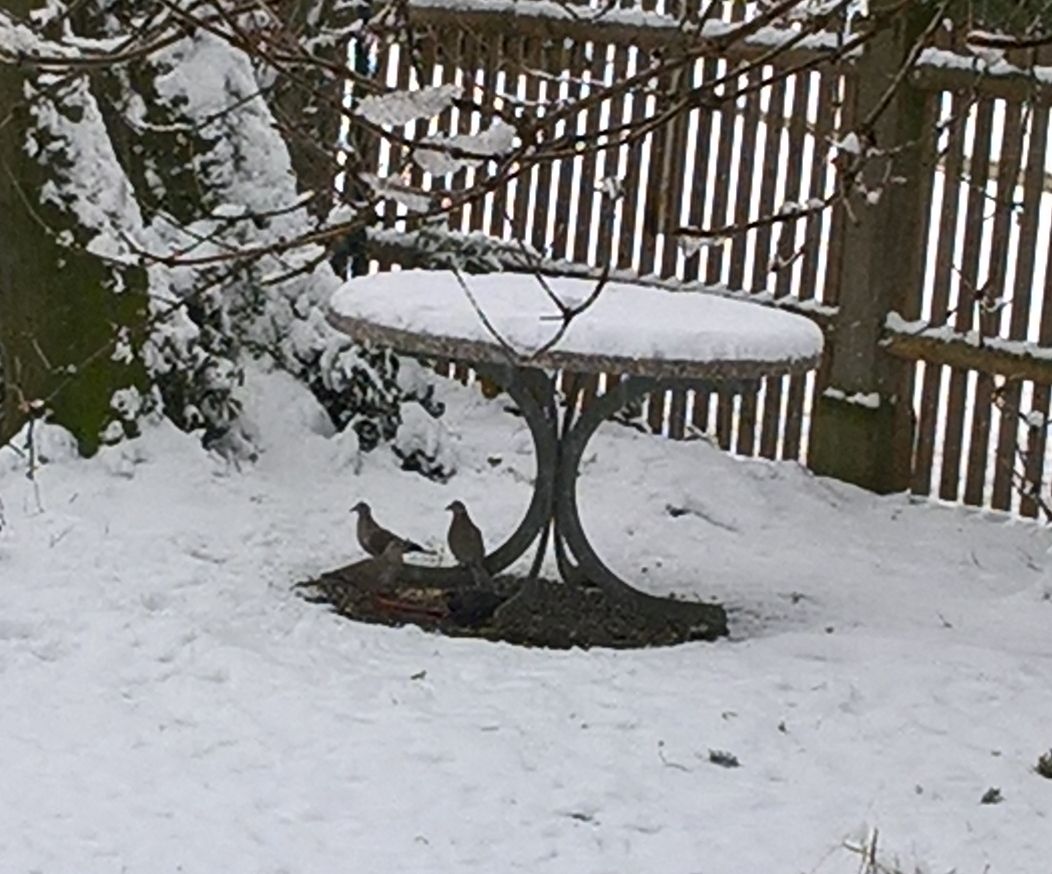 Hauptschulblues Februar 2018