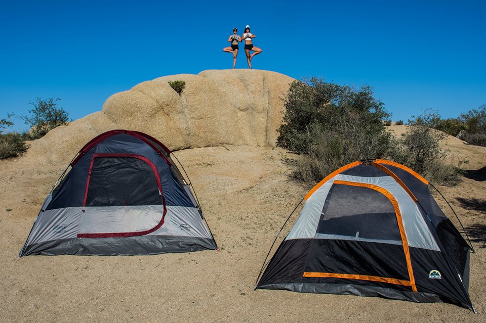 explore 25 Joshua Tree