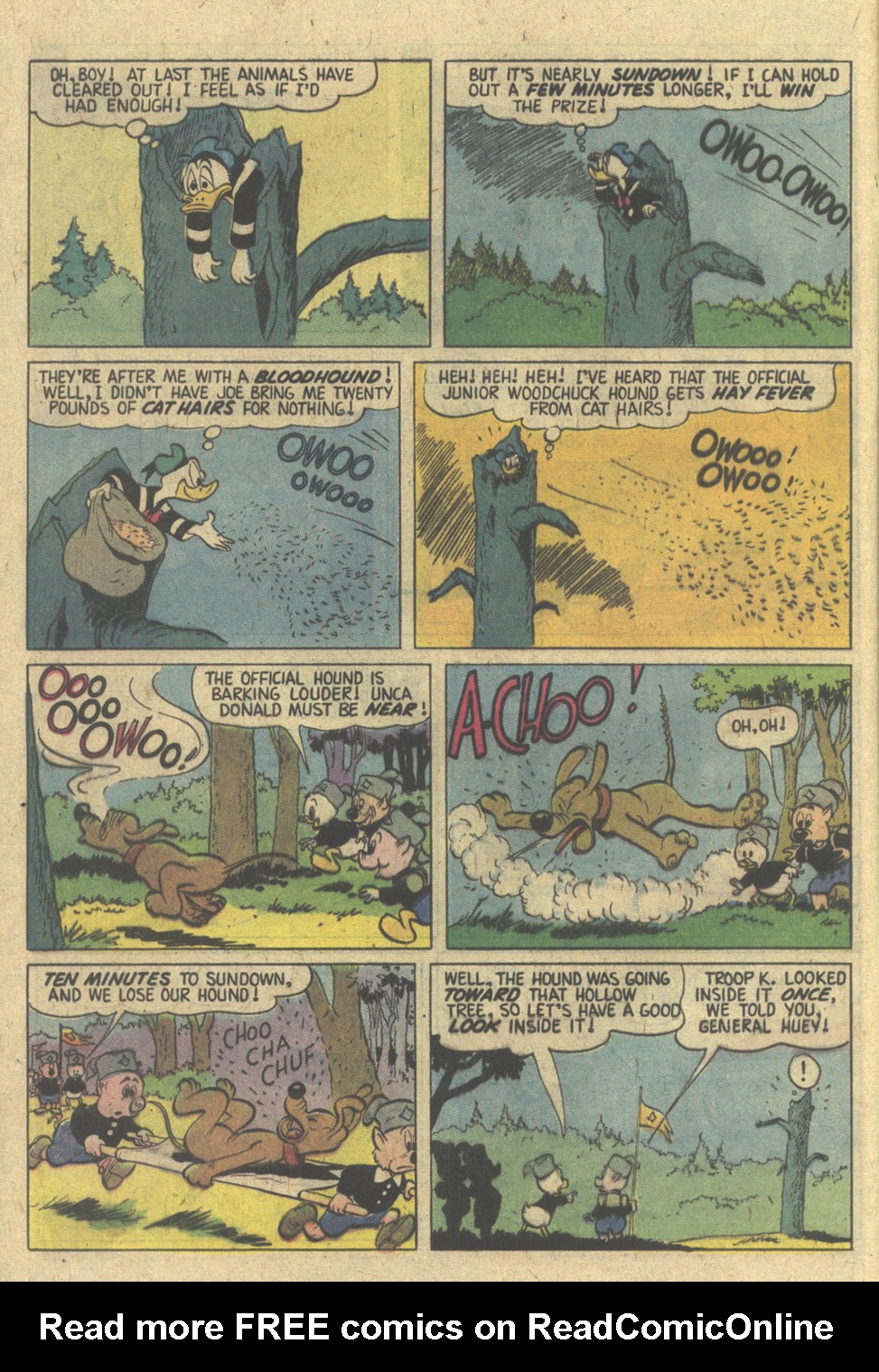 Read online Huey, Dewey, and Louie Junior Woodchucks comic -  Issue #58 - 12