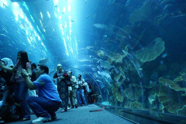 World Visit: Dubai Mall Aquarium