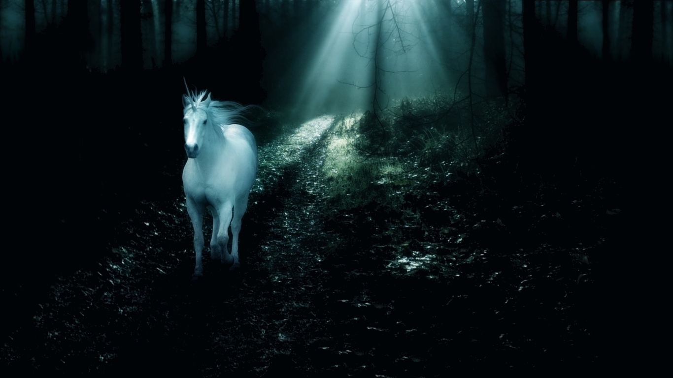 http://2.bp.blogspot.com/-RQ8fMCZuHjo/T9yhvLwxWnI/AAAAAAAAMjk/srCG5ulqHws/s1600/Unicorn_wallpaper_fantasy_1366x768.jpg