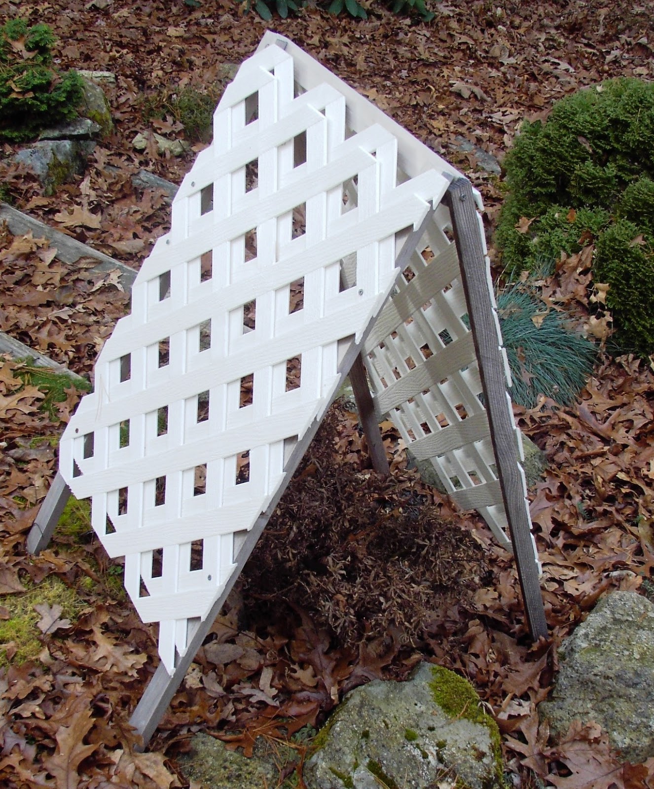 The Dracut Garden Club Protecting Trees and Shrubs