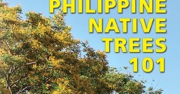 Asin sa Sugat: Ang Aklat na Philippine Native Trees 101