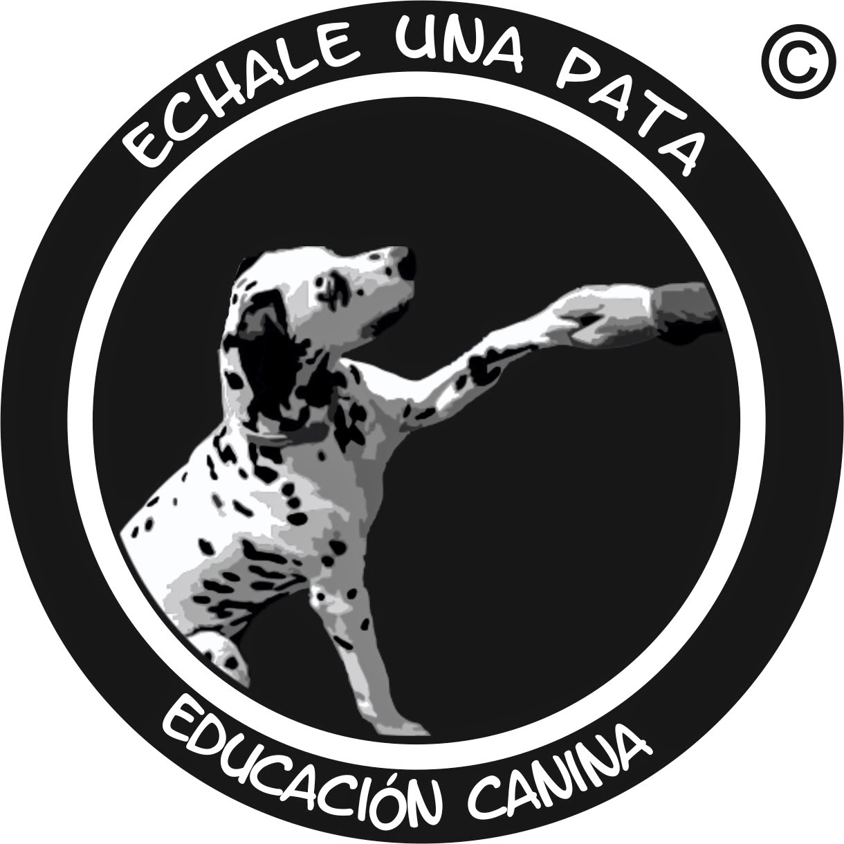 Echale Una Pata: Educación Canina ©