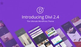 The Smartest WordPress Theme on the Planet is Divi 2.4 : eAskme