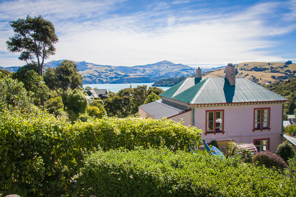 ADVENTURE BEFORE DEMENTIA THE GIANTS HOUSE, AKAROA, NEW ZEALAND
