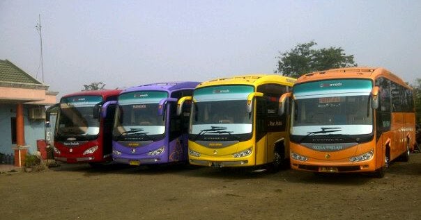Nusa Indah: Solusi Terbaik untuk Sewa Bus Pariwisata Anda