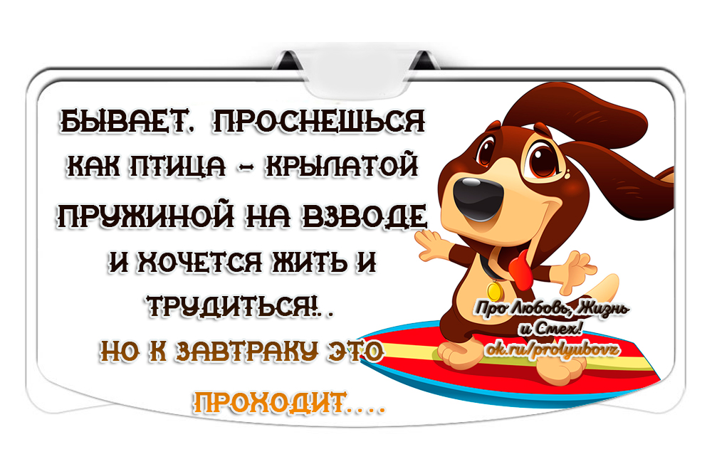 прежде бывало встанешь. бывает проснешься как птица губерман. бывает проснешься как птица крылатой пружиной. бывало проснешься как птица. бывает проснешься как птица крылатой пружиной на взводе и хочется.