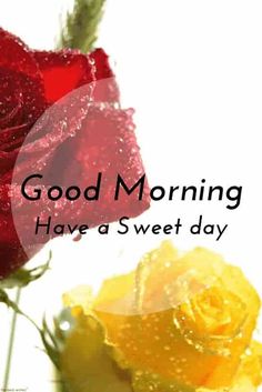 good morning friends images hd