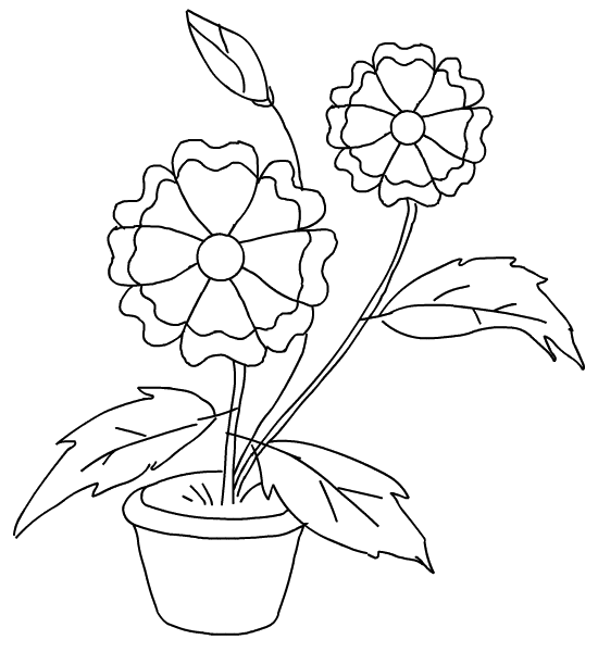 Potted Plants Coloring Pages