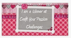 Craft Your Passion Winner