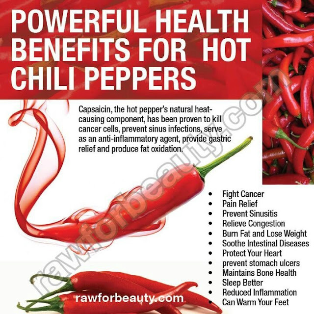rainbowdiary Health Benefits Of Chillies