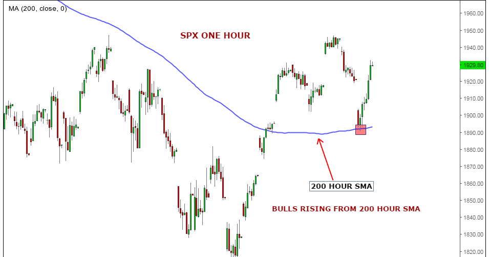 Forex market hours g+8