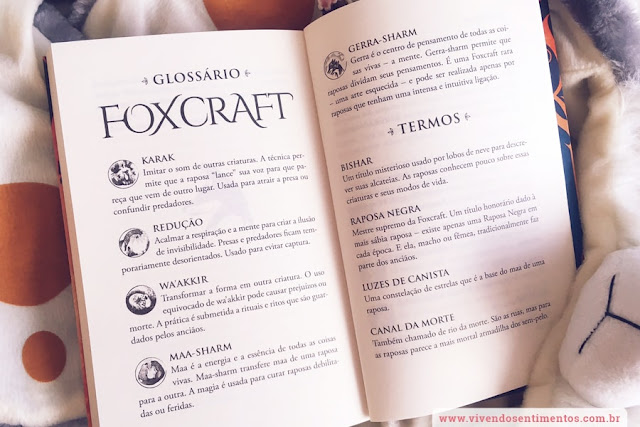 Dica de Livro: A magia da Raposa - Foxcraft: Livro 1